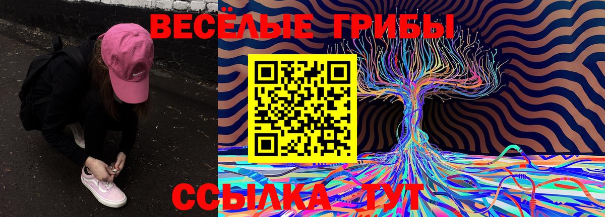 Галлюциногенные грибы Cubensis Конаково