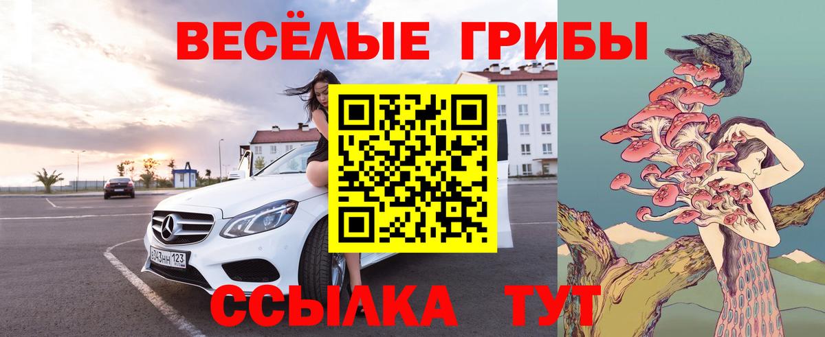 Псилоцибиновые грибы MAGIC MUSHROOMS  Псилоцибиновые грибы мухоморы  Конаково  Вход с VPN 